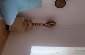 appartement Le bohème - Foto 38