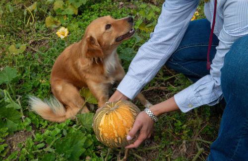 Family Farm Soc. Agr. a r.l. - Foto 30