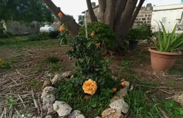 Casolare Giardino Aiarella-Assunta - Foto 44