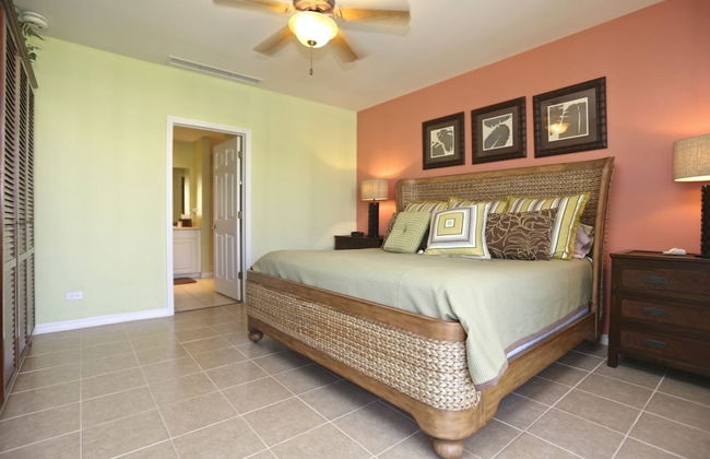 Pacifico L1207 Casa Tee - Foto 3