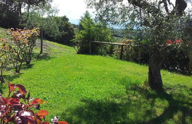 Casa Guaitoli - Foto 28