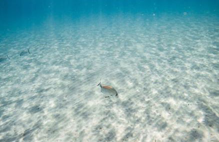 Marina d'Or IV, casa 5 - Foto 39