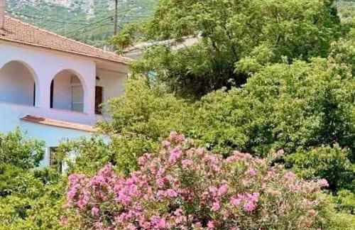 Paradisos House - Foto 18