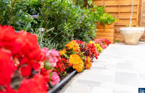 Colosseum Garden studio apartments - Foto 43