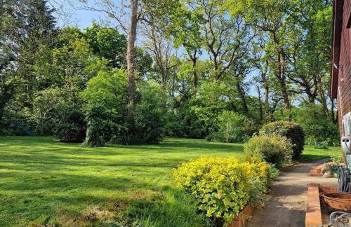 Country retreat near sea and South Downs, on National Cycle Network - Foto 13