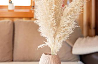 Double Paradise - Foto 72