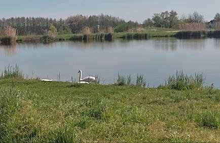 Apartment Barbara - Foto 15