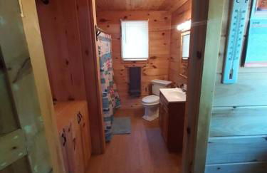 Sunrise Views Cabin with King Bed, Bar & Game Room - Foto 21