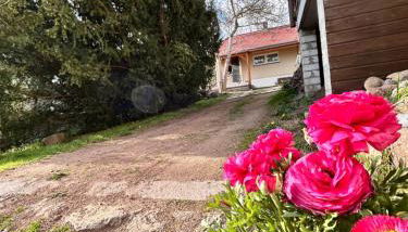 Ferienhaus Emma Dresden Hellerau - Foto 5, Garden view