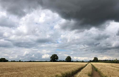 The Hat's Hut - Foto 14