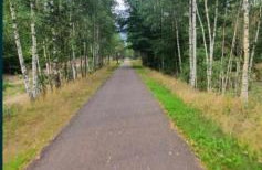 Domek w Zaciszu - Foto 7