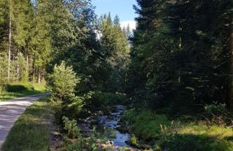 Apartment Bär by Interhome - Foto 17