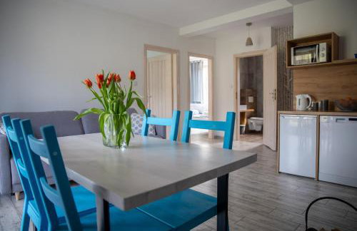 APARTAMENTY ZAZAMCZE - Foto 15