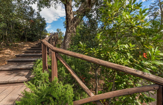 Mezzo Ortano - Foto 38