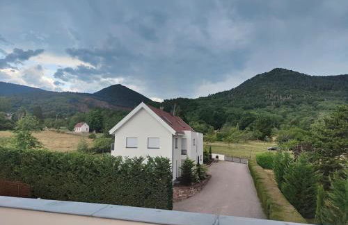 L'Echappée Verte - appartement en duplex - Photo 28