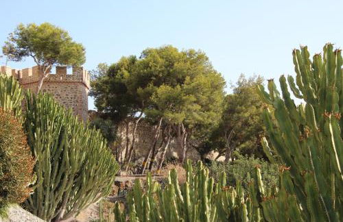 Bella vida en Almunecar - Photo 49