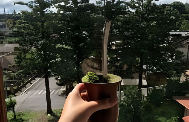 Siga Gramado - Centro e Lago Negro a pé - Photo 60