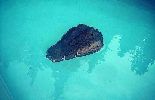 Villa I Bossi - Foto 49