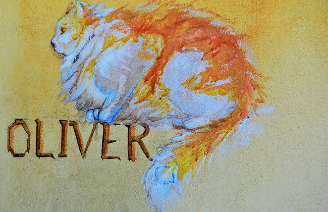 Ars Naturae Biologic Farm - Foto 26