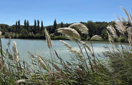 maison aux Baux de Provence - Foto 8