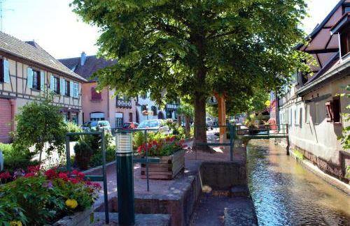 La Halte des Vignes - Route des vins d'Alsace - Foto 28