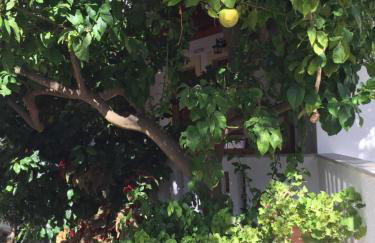 Livanina apartments - Foto 31