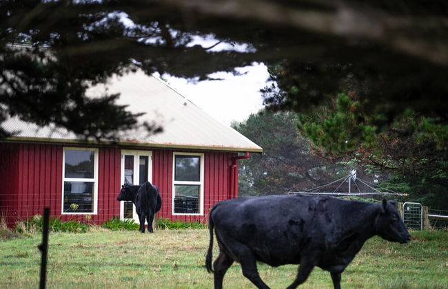 Icena Farm Accommodation - Foto 28