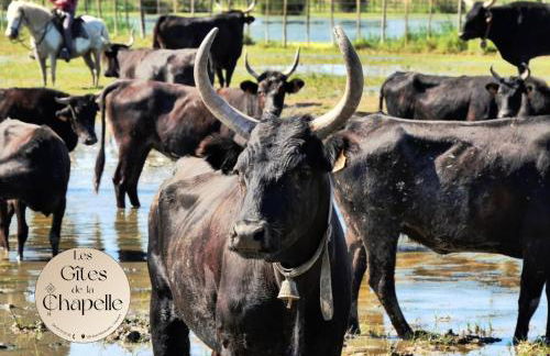 Les Gîtes de la Chapelle 4 - Photo 19