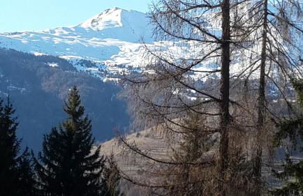 Apartment Albaré Residence - Foto 32