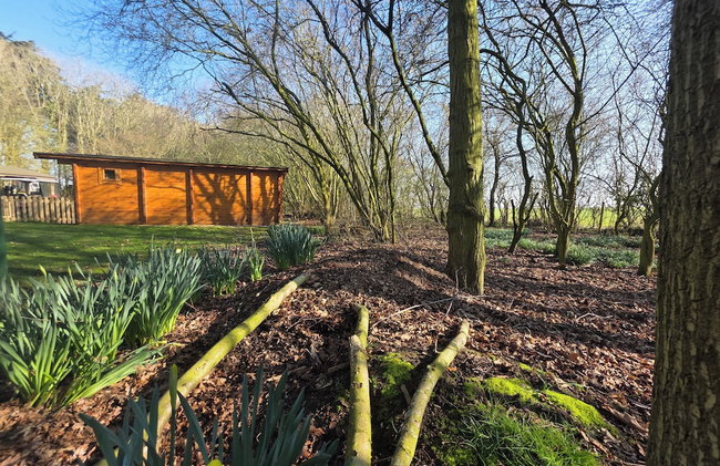 Lighthouse Lodge - Dog Friendly Nr Sutton on Sea - Photo 42