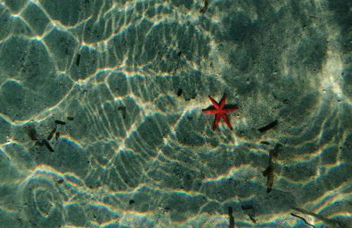 Di fronte la spiaggia - Foto 18