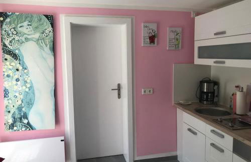 Ferienapartments Gohrisch Villa Schönblick - Foto 36