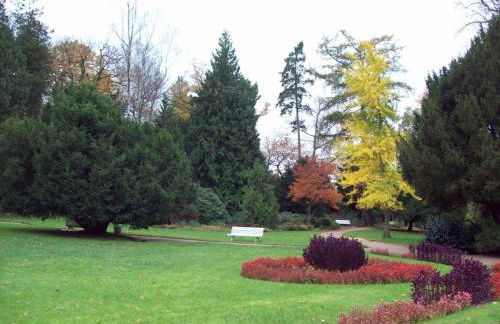 Holiday home in Mosbach 3183 - Foto 16