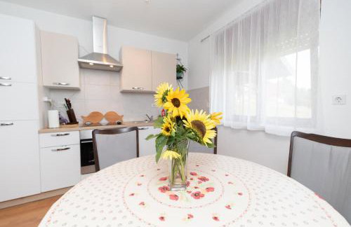 Apartman Skender 3* Ravna Gora - Foto 38