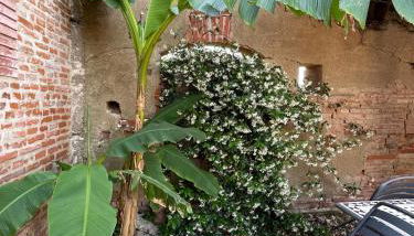 Gîte Casafamilia - Nature et sérénité - Foto 2