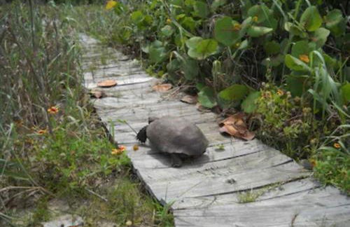 Summer Sands Lodge Unit 4 -2BR - Photo 34