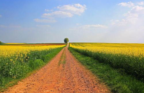 Ferienwohnungen in Losheim am See - Foto 69