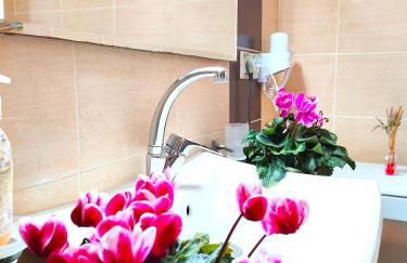 Zika's House - Foto 23