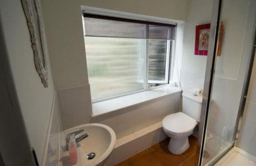 The Allendale Wolf - Foto 35