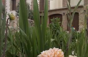 Casa Rural Caseta de l' Hort - Foto 75