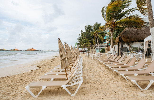 Capital O Mimi Del Mar, Playa del Carmen - Photo 38