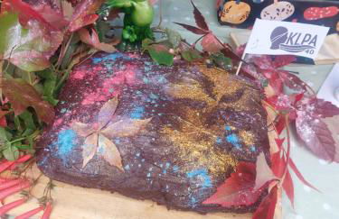 Lovely 2 bed cottage in Highgate, London - Photo 13