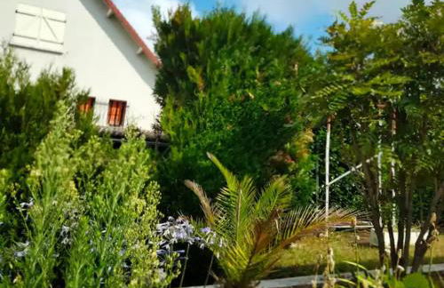 Chez Gaston - Foto 34