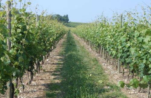 Agriturismo Feliciana - Foto 68