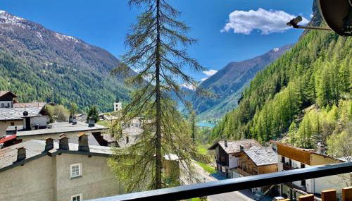 Profumo di Legno - Foto 4