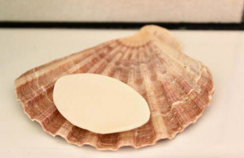 Vivenda Montanha Apartment - Foto 14