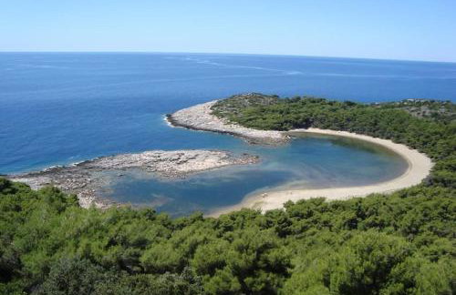 Baldo's Happy Garden- BRAND NEW - Foto 21