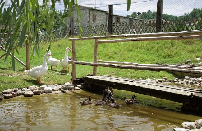 Cottage in Todi With Pool and Terrace - Foto 36