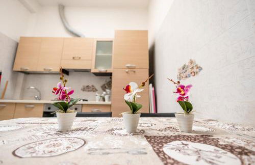 La Casetta in the Town - Gallipoli - Salento - Foto 12