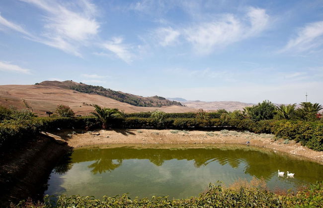 Villa in Alia With Pool & Olive Views - Photo 24